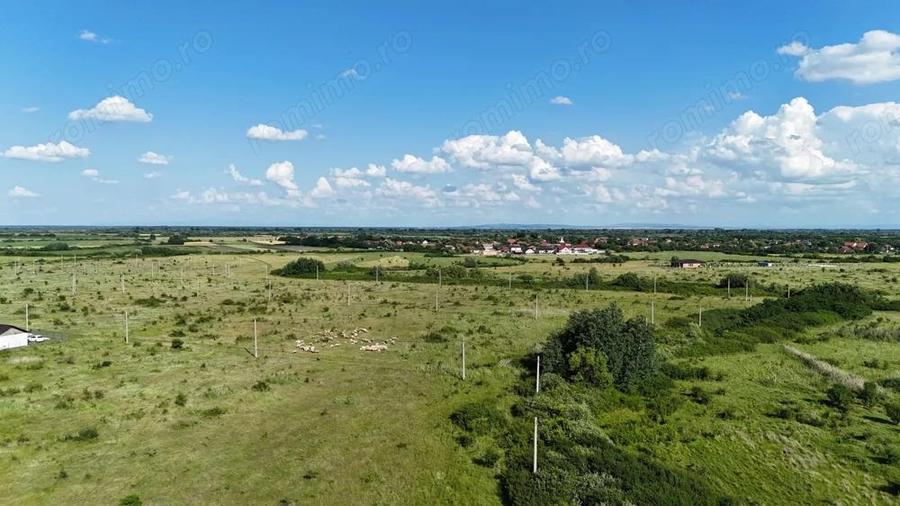 Terenuri zona MOSNITA NOUA - ALBINA . - 13