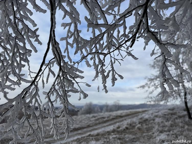 Apartament lux 2 camere de inchiriat Future Residence - 15