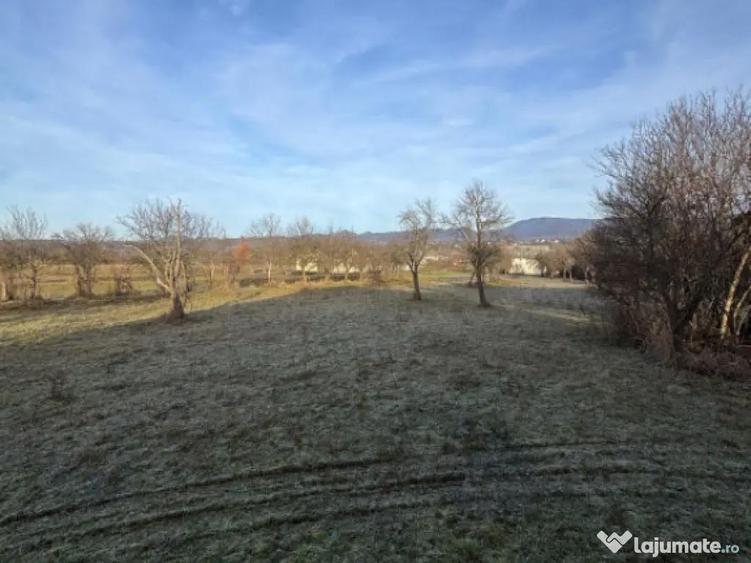 Doua case pe acela?i teren, 180 mp utili, 25 ari, ?indre? - 3