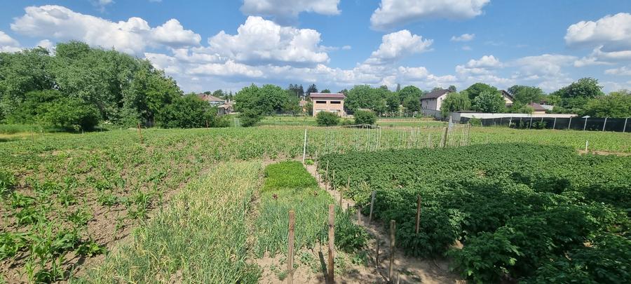 Casa renovata cu 2857mp teren Liceul Pedagogic - 10