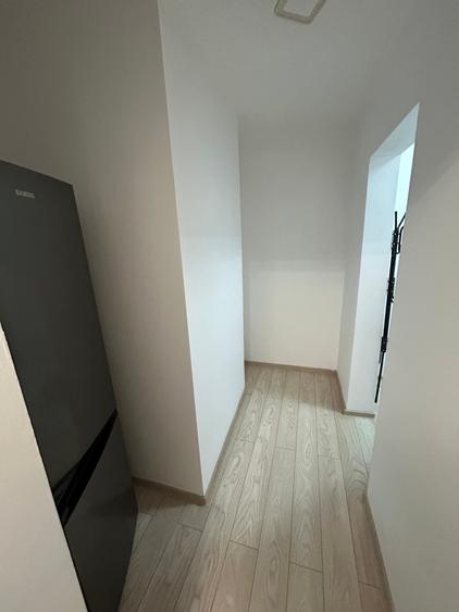 Dristor Metrou 4 Min Camil Ressu, Liviu Rebreanu, ParkLake, C Anaf, renovata - 10