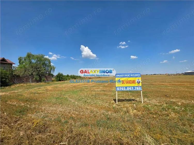 Teren 4495 mp situat in comuna Clinceni aproape de zone Rezidentiale - 15