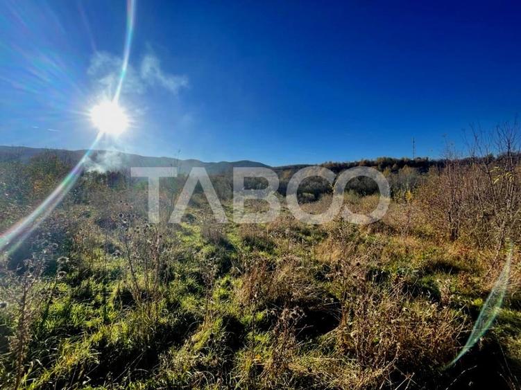 Investitie imobiliara Teren 14100 mp cu PUZ si PUD aprobat in Cisnadie - 3