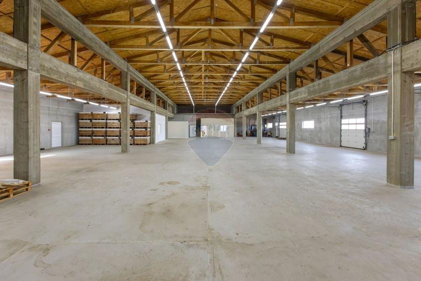 Hală 1.000 mp + curte 3.200 mp + CASĂ 160 mp BONUS | Acces TIR | Bacău - 7