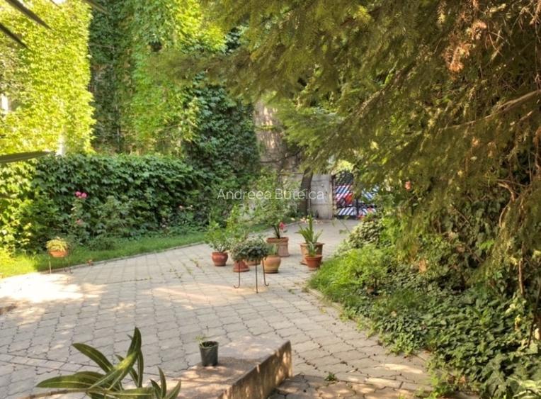 Casa in Cartierul Armenesc - curte individuala