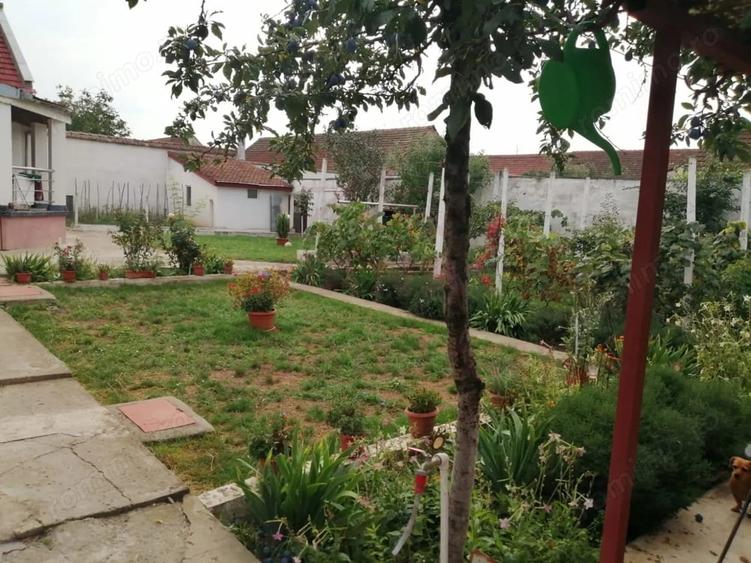 Casă cu 3 camere cu Teren 910 Mp în Buchin