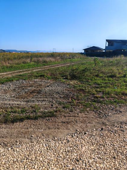 Teren Intravilan de vanzare - 4