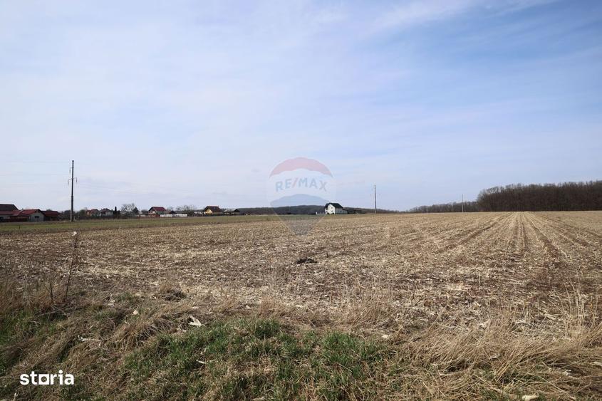 Teren 9,740mp Suceava / Strada Principala - 1