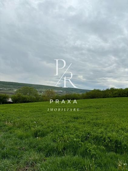 Teren extravilan, 2165 mp, priveliste, zona Dealul Fanatelor! - 4