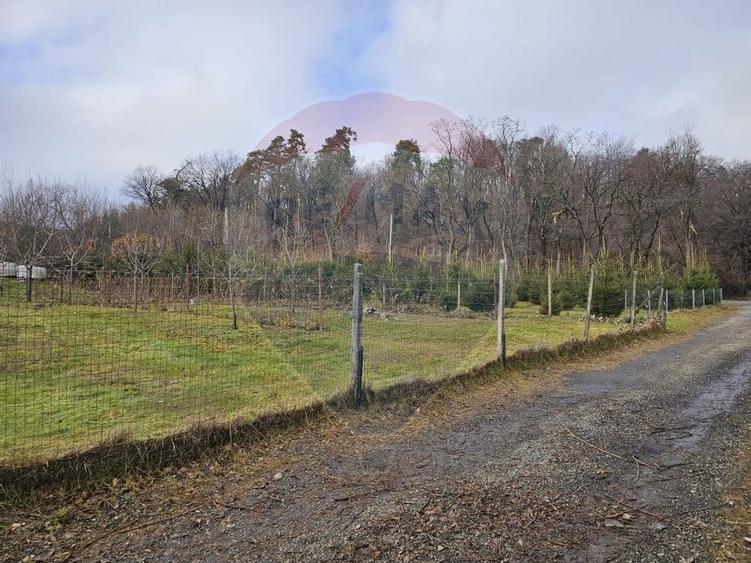 Teren  vanzare 1441 mp Cisnadioara strada Ciresilor - 3