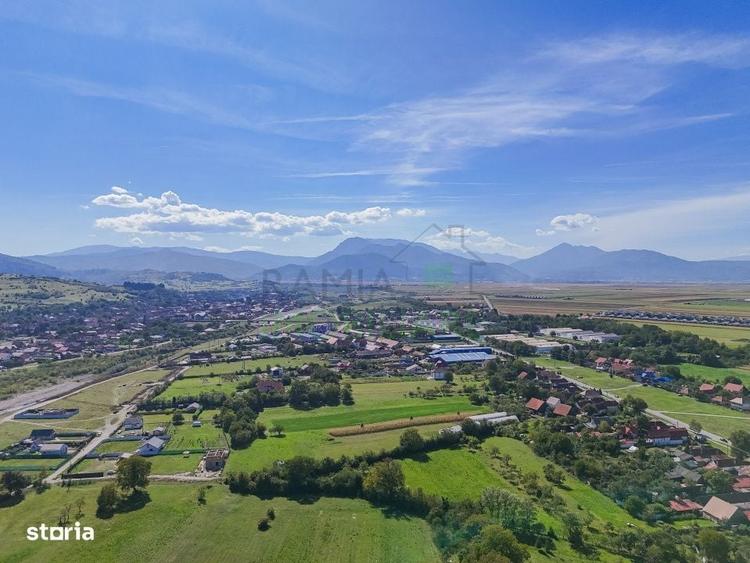 Spațiu comercial, în Cărpiniș