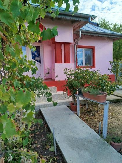 Proprietar vad casa Comuna Bucsani sat Obedeni,jud Giurgiu - 8