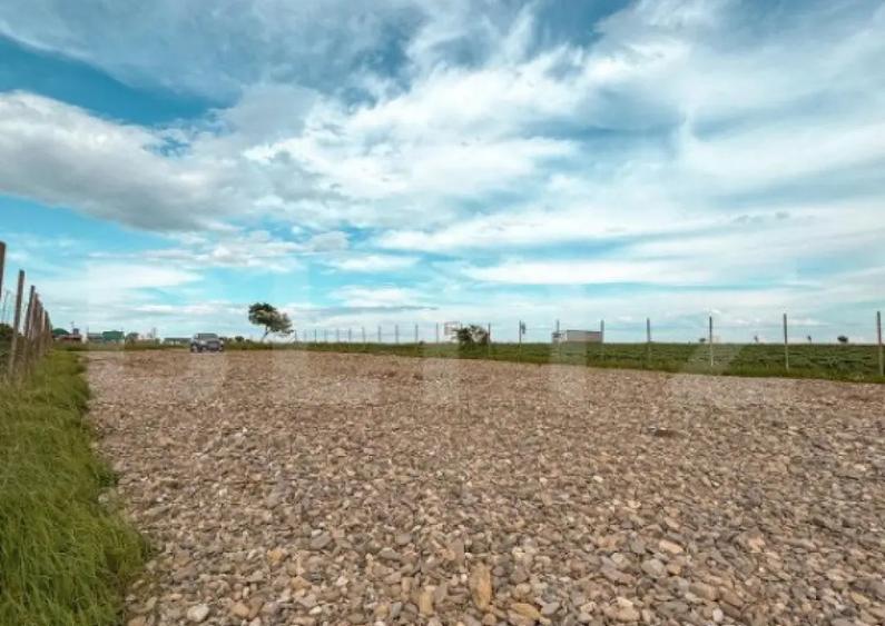 Oportunitate Investi?ie - Teren extravilan, 5000mp, 20 ml - - 2