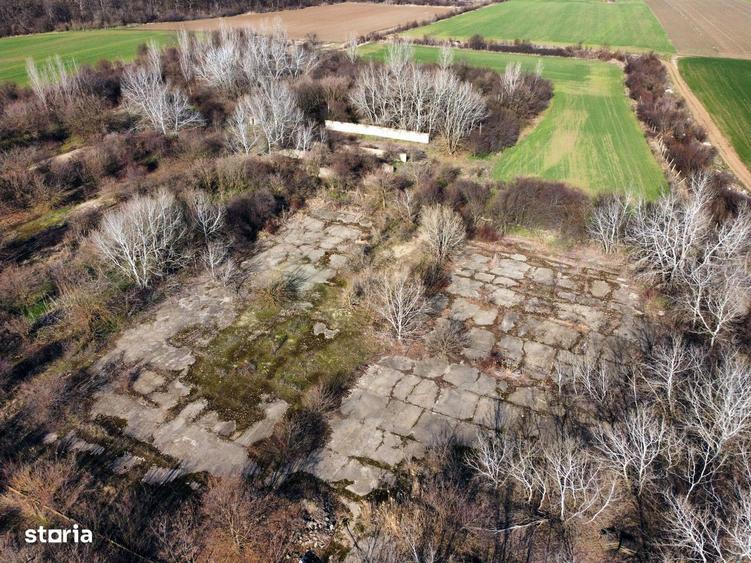 Ferma si livada de meri in judetul Ilfov - 6