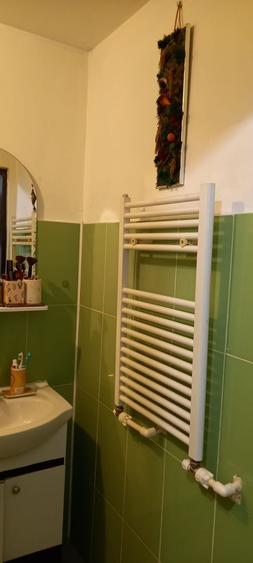 Apartament tip studio mobilat+ curte proprie- Dimitrie Leonida - 9