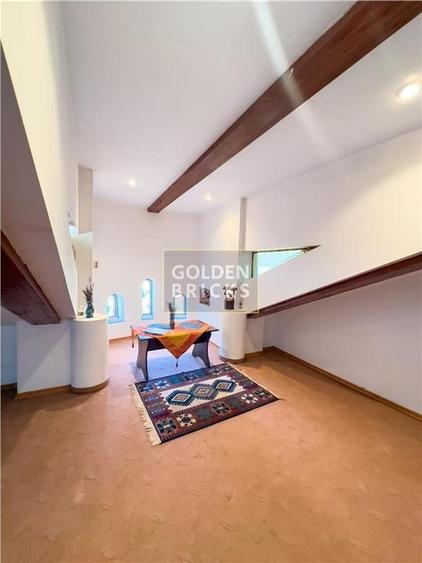 Piata Muncii | Vila individuala | Reprezentativa | Metrou 5 minute - 13