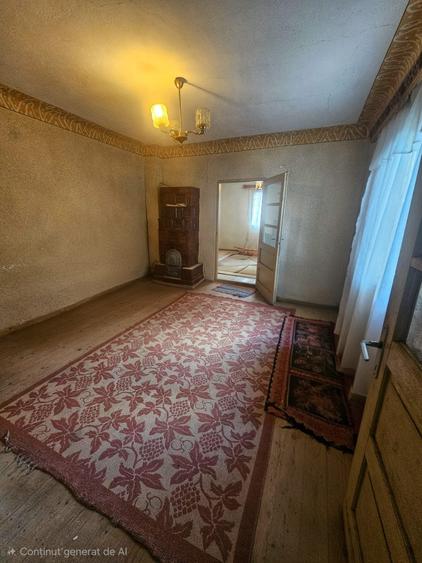 Exclusivitate! Casă cu teren generos în Sat Olteni, Com.Teișani - 25