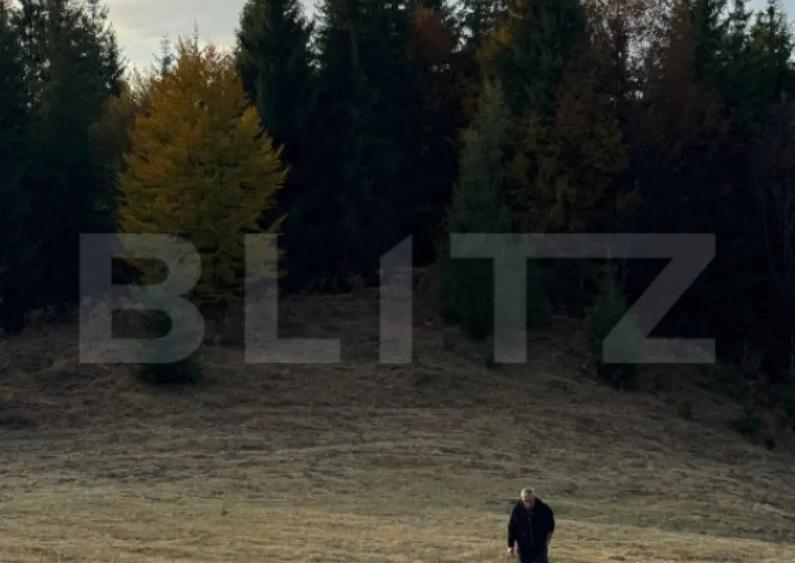 Teren Intravilan, 1000 mp, zona Castelul Dracula - Tihuta - 3