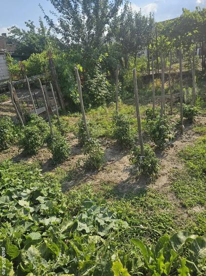 Casa de vanzare orasul Geoagiu, jud. Hunedoara - 3