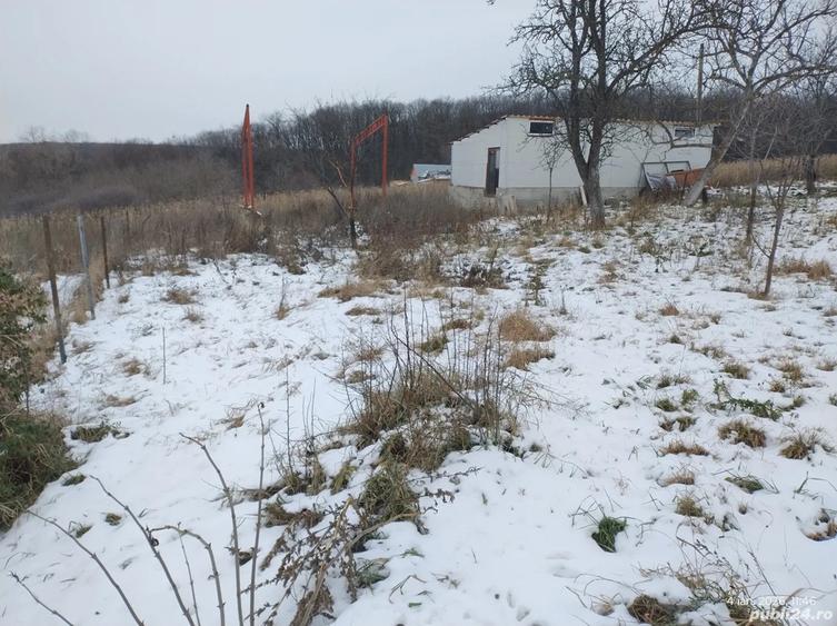 Hala pe Structura Metalica+ Casabatraneasca + 4800 m2 - 1