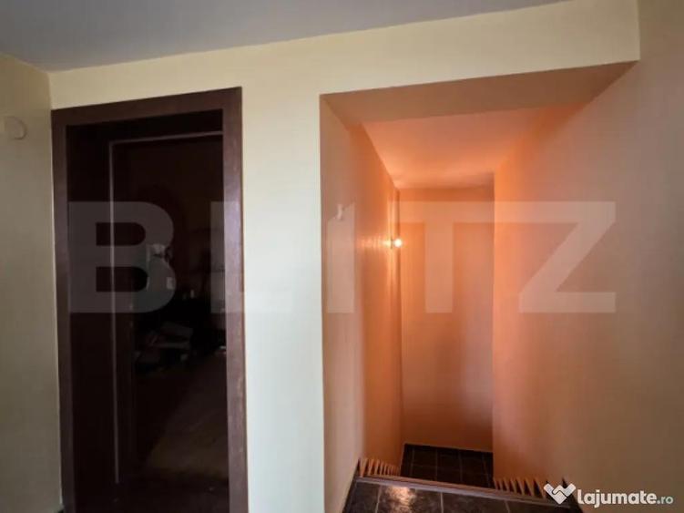 Casa S+P+E+M, 230 mp teren, Puskin - 1