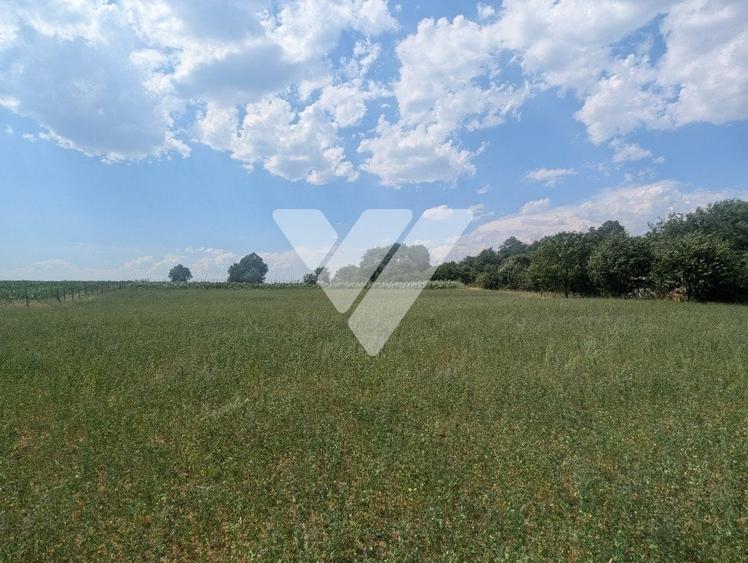 Teren intravilan 1670 mp cu vedere spre lacuri Ocna Sibiului - 4