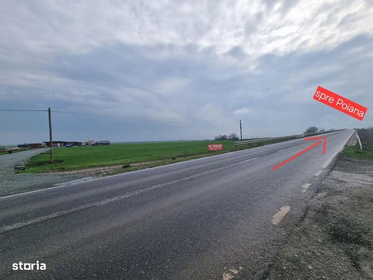 Teren zona hale Ovidiu - 4