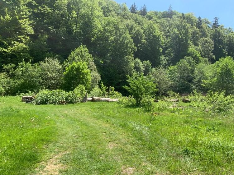 Teren de vanzare DN1. - 1