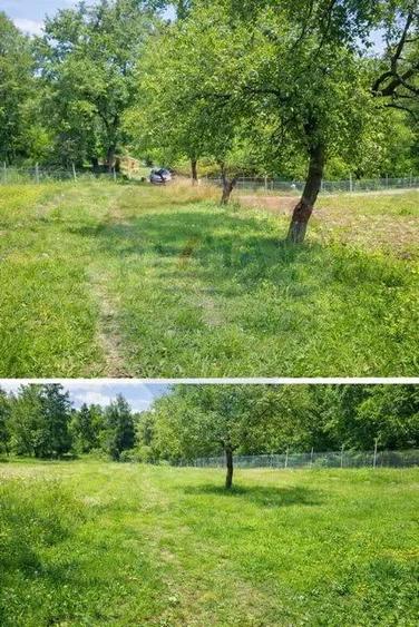 Casa traditionala+teren 9.035mp in Breb,Maramures - 1