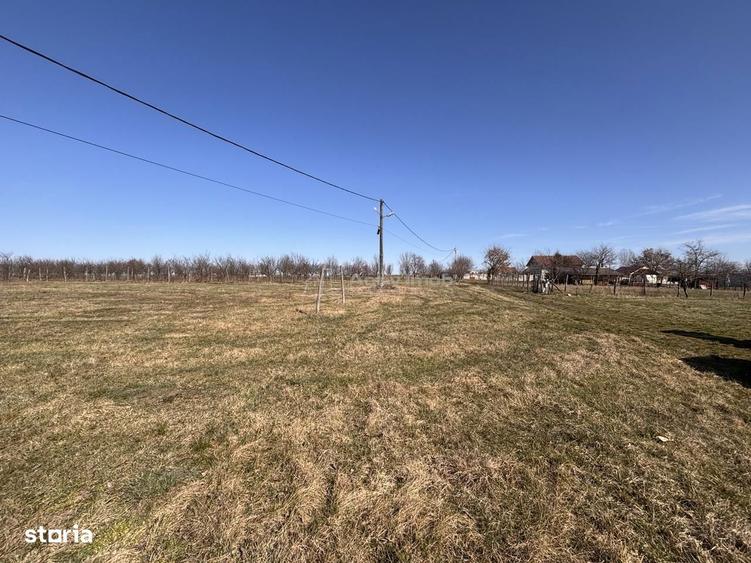 Domeniu cu lacuri de pescuit - cabane si livada - Oportunitate rara l - 9