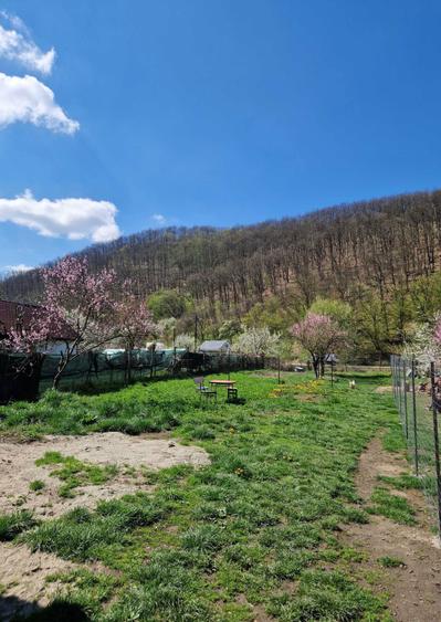 Casa de vanzare Lesnic HD - 8