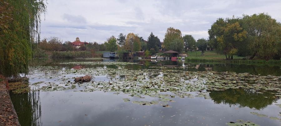 OAZA DE LINISTE SI RAFINAMENT LA MALUL LACULUI - 7