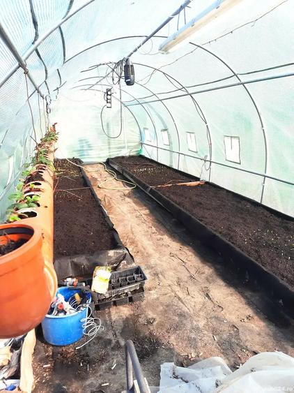 Casa de vanzare renovata recent, la 2 km de vama Nadlac, jud Arad - 2