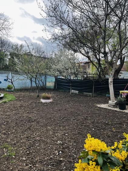 Casa 4 camere  complet renovata - Timisoara - 10