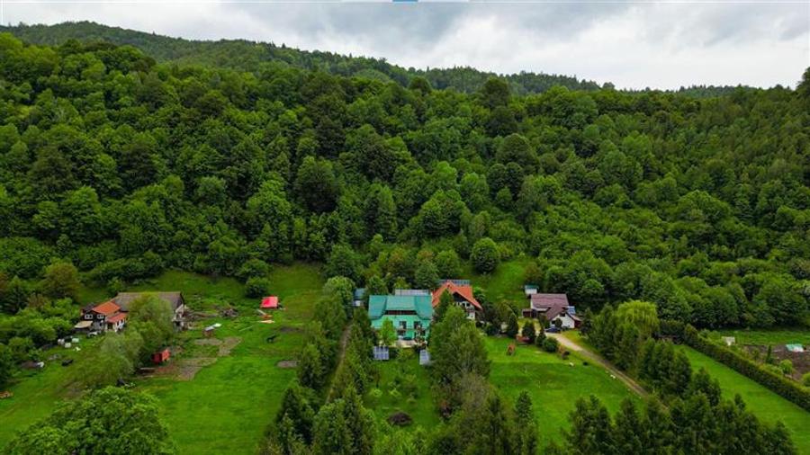 In cartea de povesti a Pietrei Craiului, ansamblu turistic in circuit,Plaiul Foi - 45