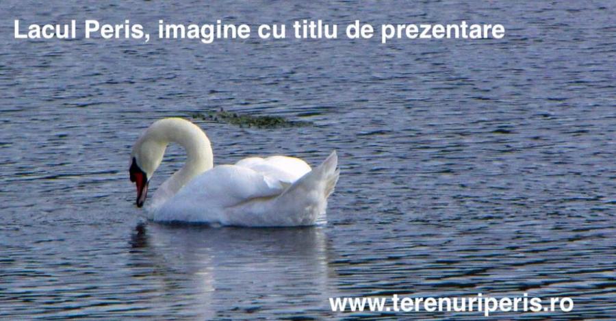 Teren Peris 500mp IN RATE 500 teren langa Ciolpani, Izvorani - 8