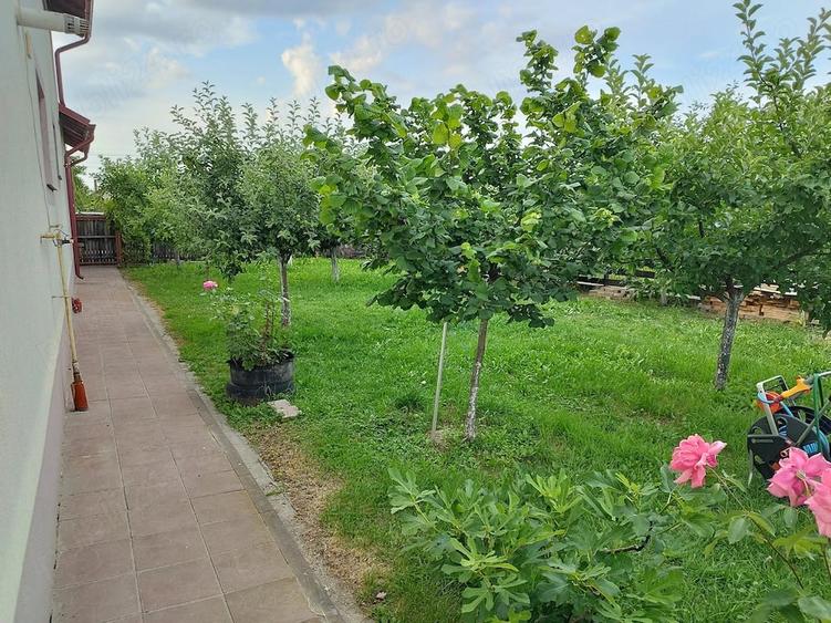 Casă cu Teren 4800 Mp în Căteasca