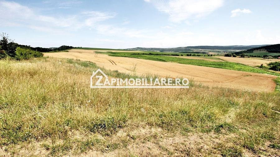 Teren 9.600 mp.17 euro mp deschidere la drum 200 m. - 6