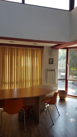 Persoana fizica vand Spatiu Comercial Ultracentral pe Bd. Ferdinand - 13