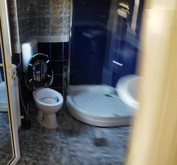 Vila deosebita, libera, zona centrala, ideal resedinta sau clinica, birouri - 14