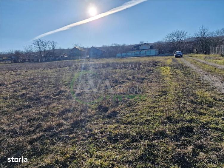 Teren intravilan 1.800 mp Deschidere 104 ml | Sarata Bacau - 6