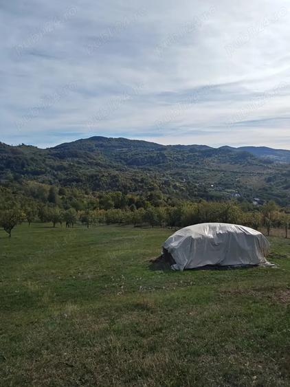 Teren de 8316 mp, în Berislăvești