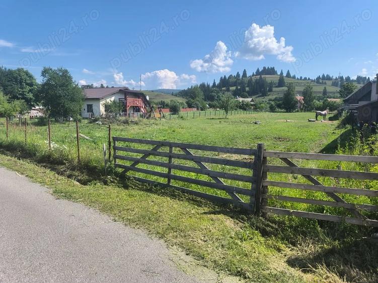 Teren de 2600 mp, în Moglănești