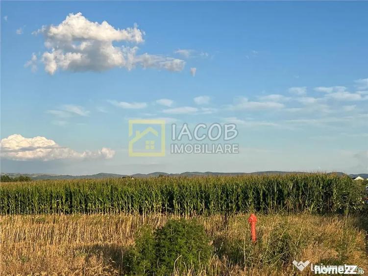 Loturi teren Bogdan Voda Bacau - Bogdan Voda (Bacau) - 2