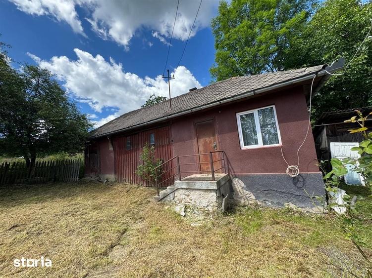 Casa de vanzare l Dangau Mare l 3135 MP Teren - 9