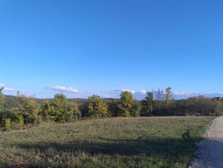 Teren Construcții intravilan de 534 mp, în Săldăbagiu de Munte