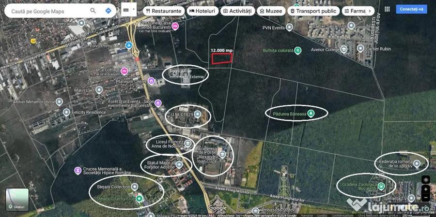 Teren intravilan 12.000mp - Padurea Baneasa - 4
