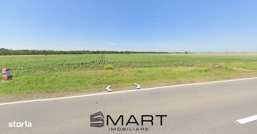 Teren arabil sat Cucueti - 2