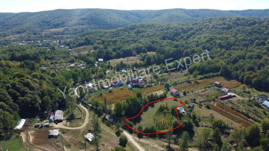 Teren de vanzare in comuna Baicule?ti, sat Tutana, jude? Arge?. - 3