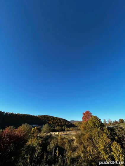 Casa batraneasca + teren 5000mp - 3
